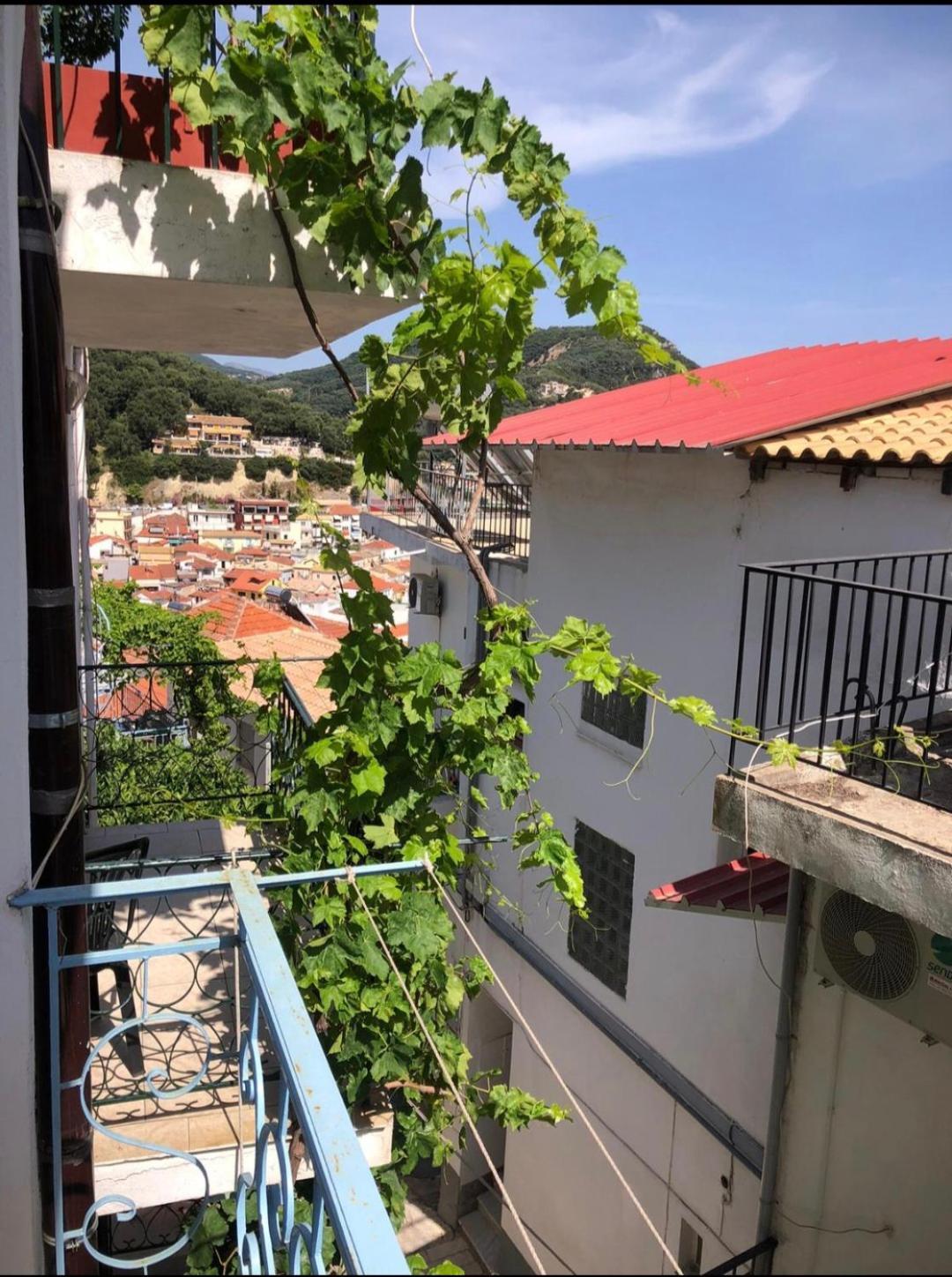 Panos Apartments Parga Cameră foto